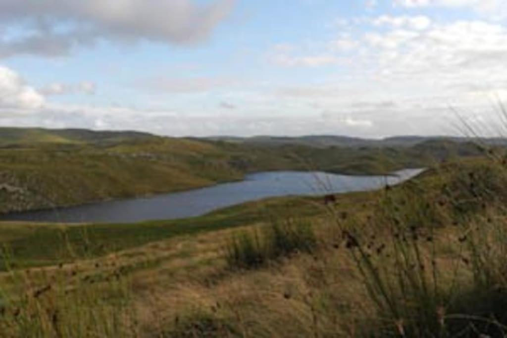 فيلا Yr Hen Efail - Old Smithy Tregaron المظهر الخارجي الصورة